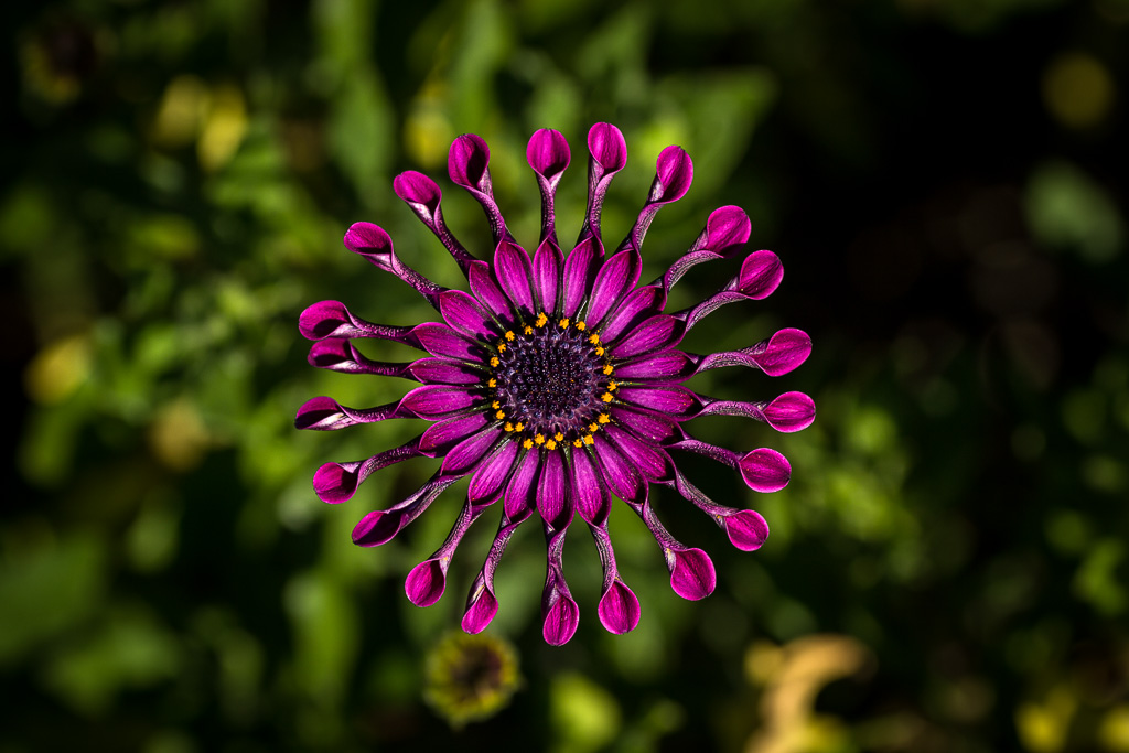 0245150215-7.jpg