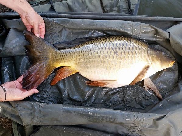 14lb2.jpg