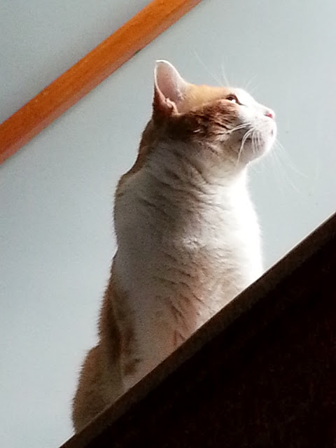 20120902_111056.jpg