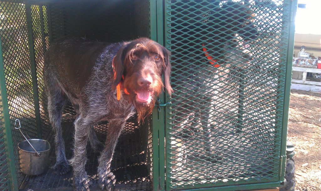 2013 Quail Hunt Ingo Ready to Go.jpg