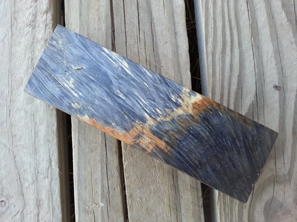 20130925_131224.jpg