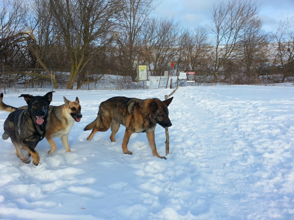 20140217_162033.jpg