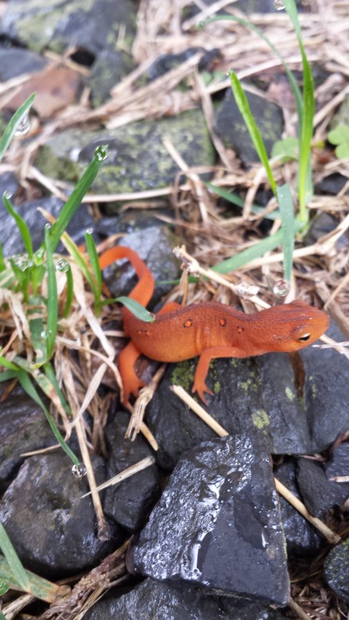 20140510_083917.jpg