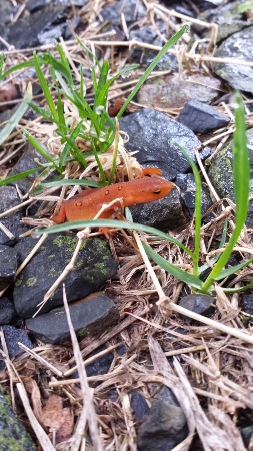 20140510_083936.jpg