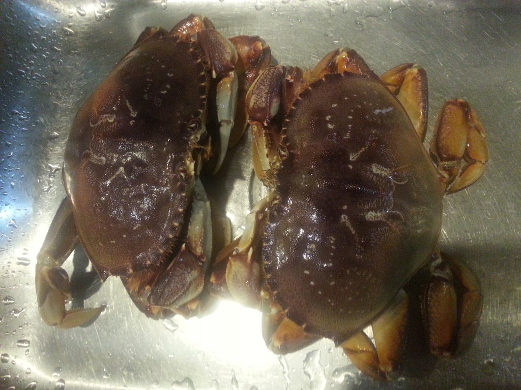 20141127_171553.jpg