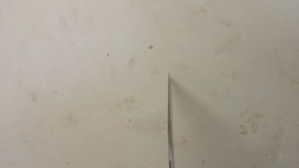 20150421_161116.jpg