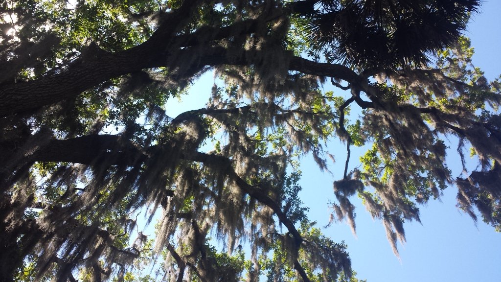 20150430_111813.jpg