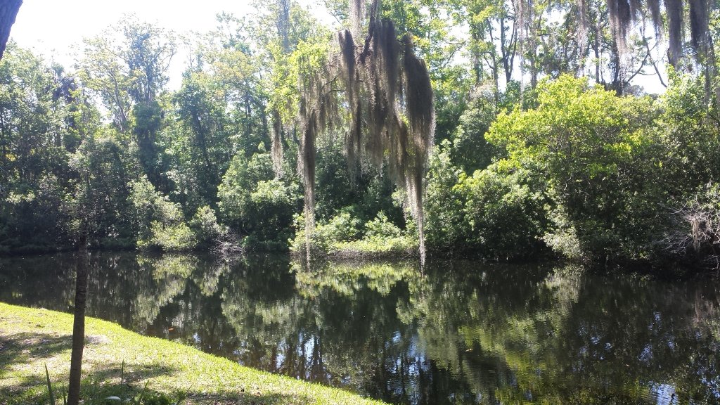 20150430_111824.jpg