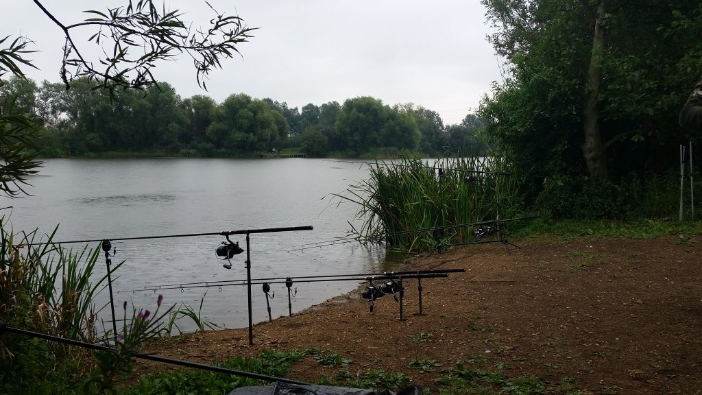 20150813_122917.jpg
