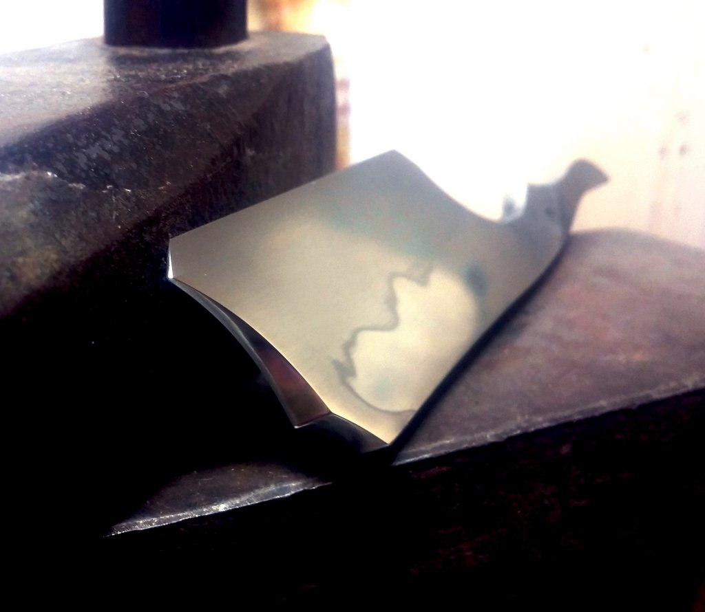 20150822_175749a1.jpg