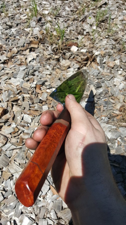 20151002_125436.jpg