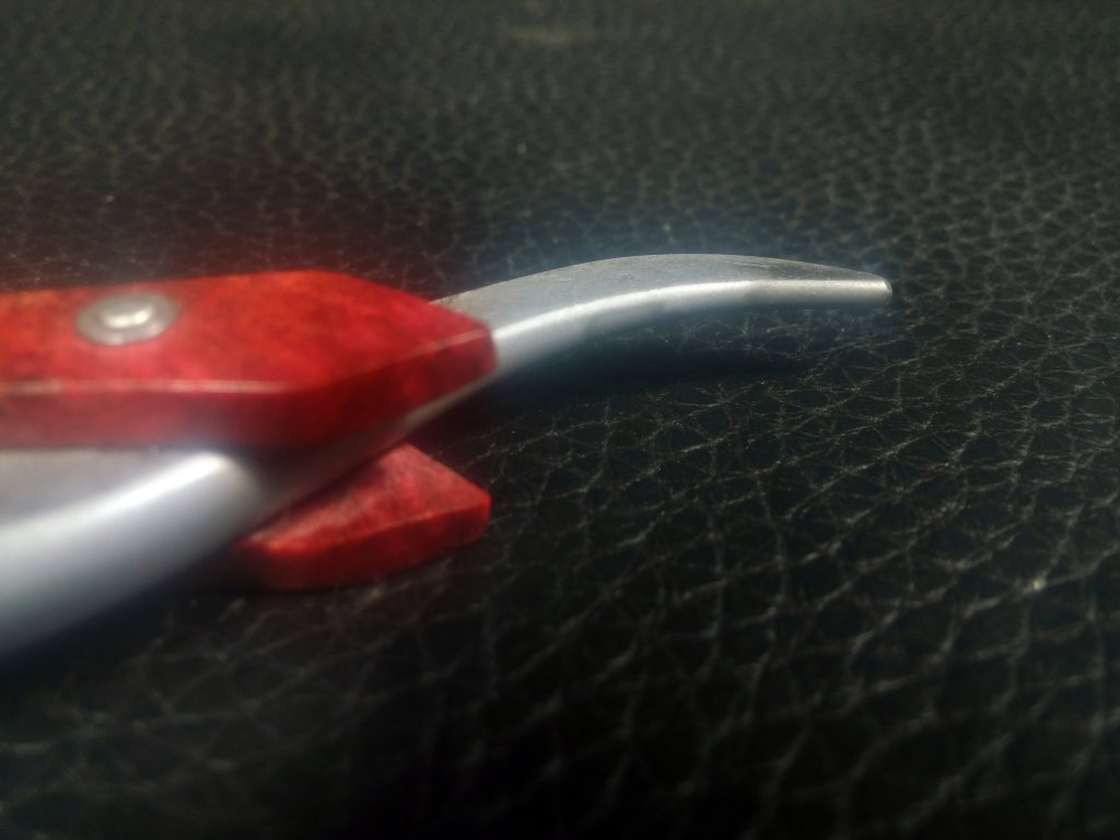 20151006_210456.jpeg