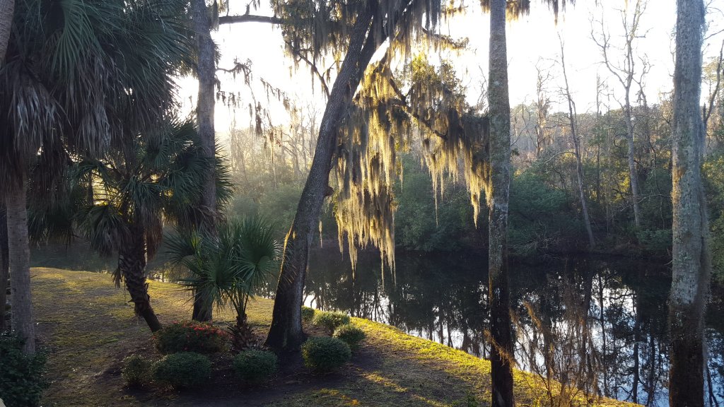20160223_073958.jpg