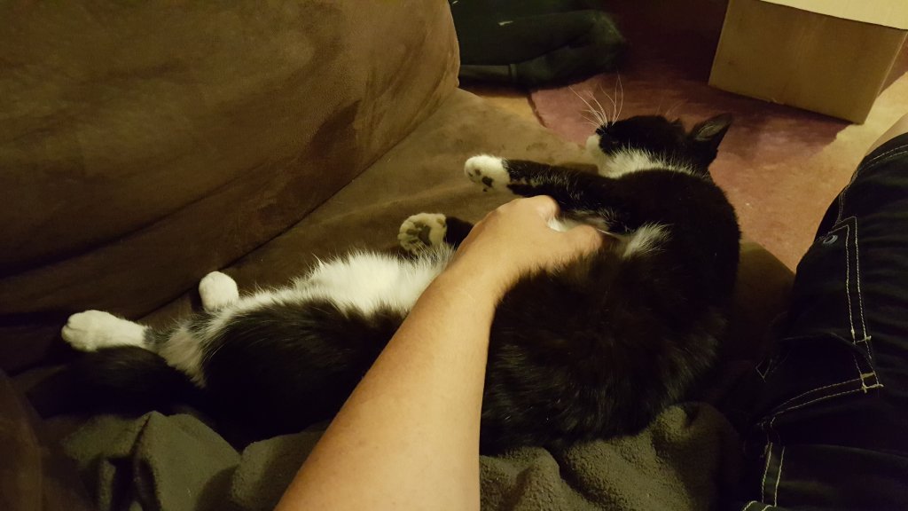 20160321_193328.jpg