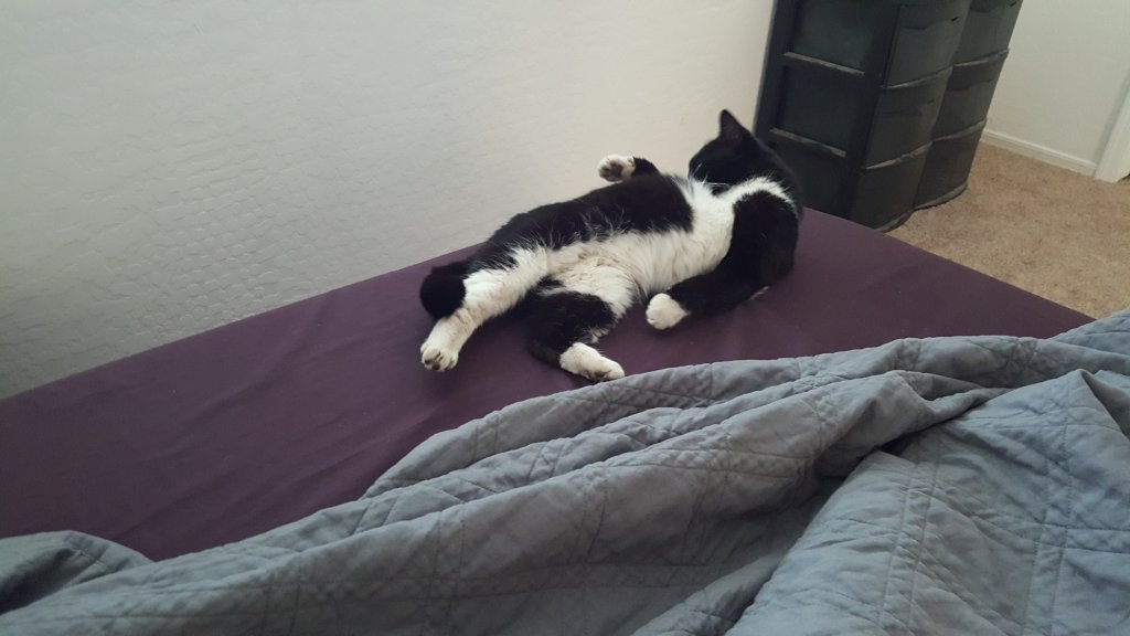 20160322_070512.jpg