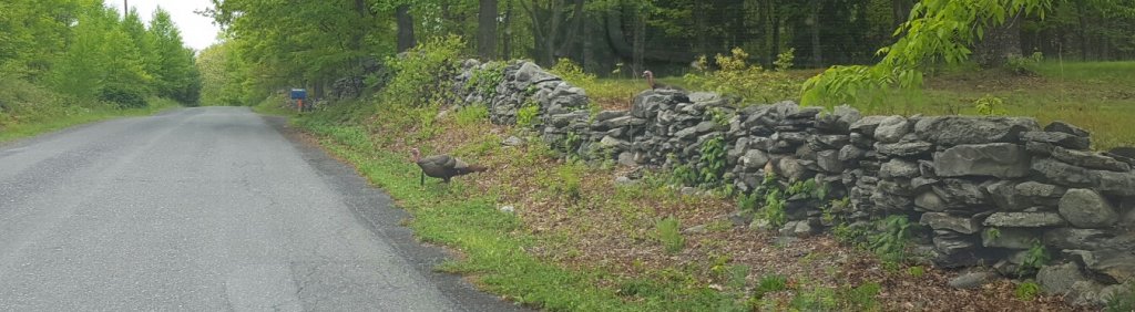 20160521_174513.jpg