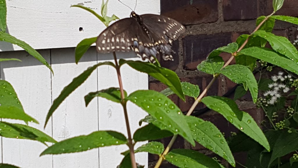 20160920_114520.jpg