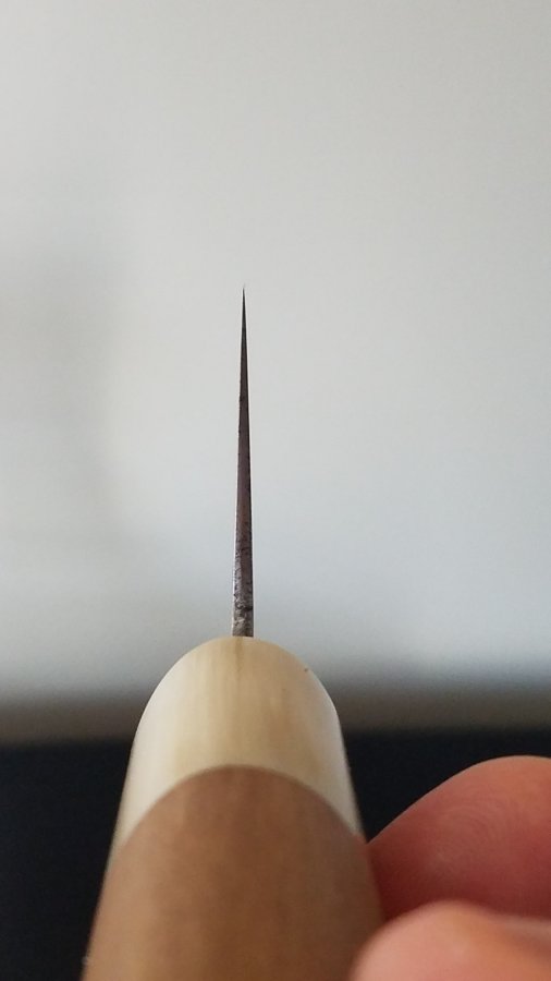 20180131_094824.jpg