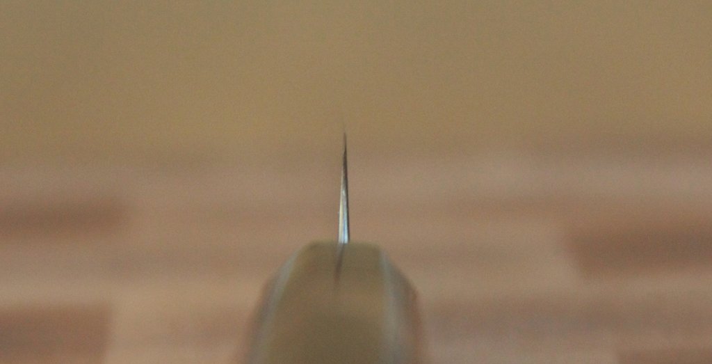 20190101_1e.jpg