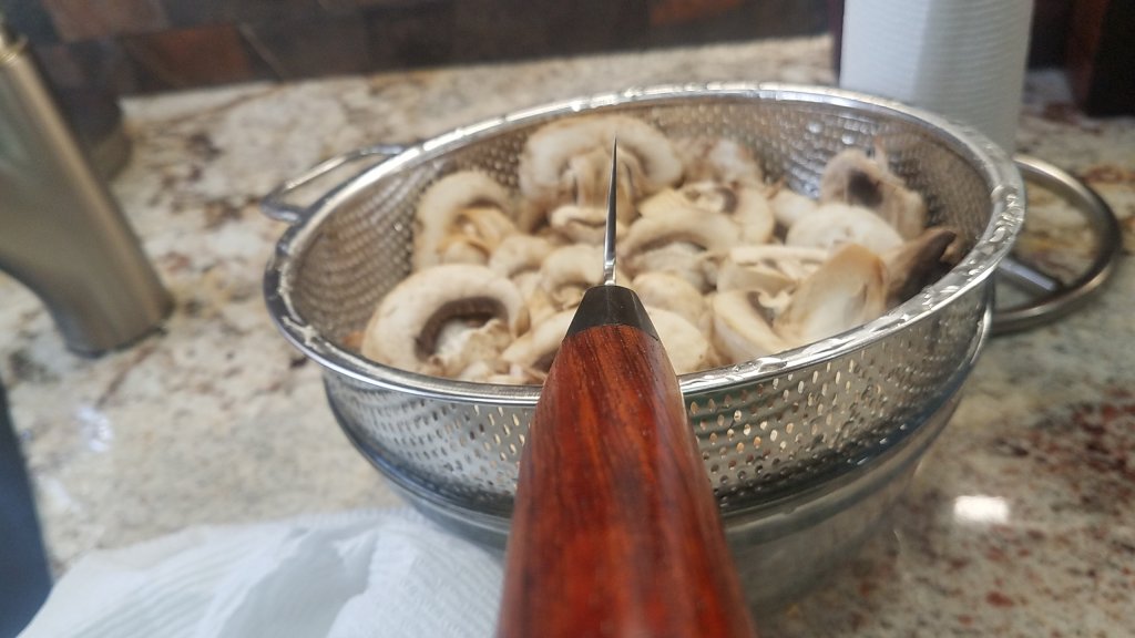 20190410_125927.jpg