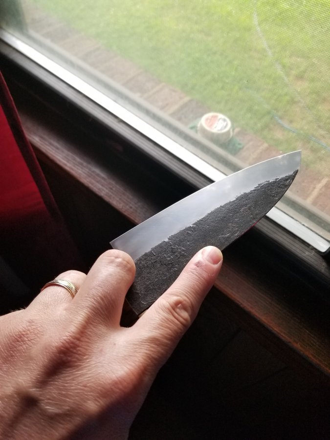 20190625_172512.jpg