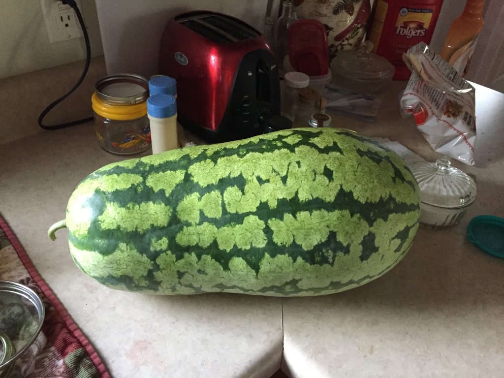 C8FE5971-AB42-4C4F-A566-A2FD11199202.jpeg