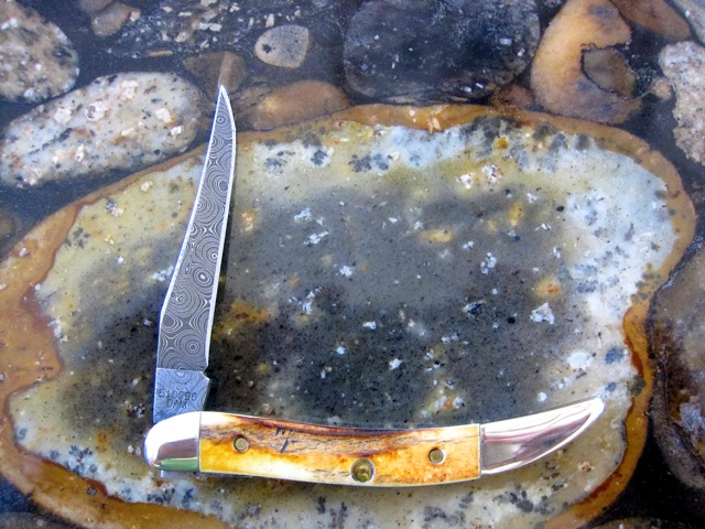 Case Damascus Stag Tiny Toothpick 2.jpg