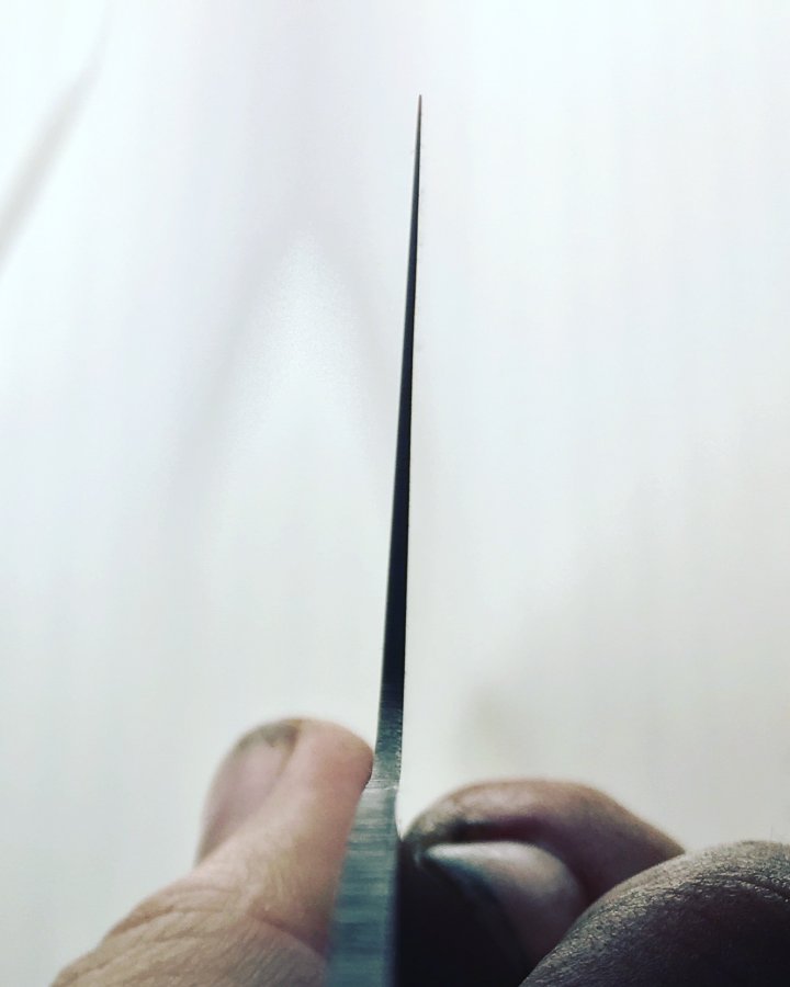 DE740253-4B46-4971-B4BC-C5176D5985D5.jpeg