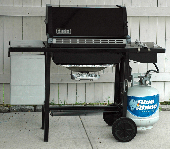 Dina's weber.jpg