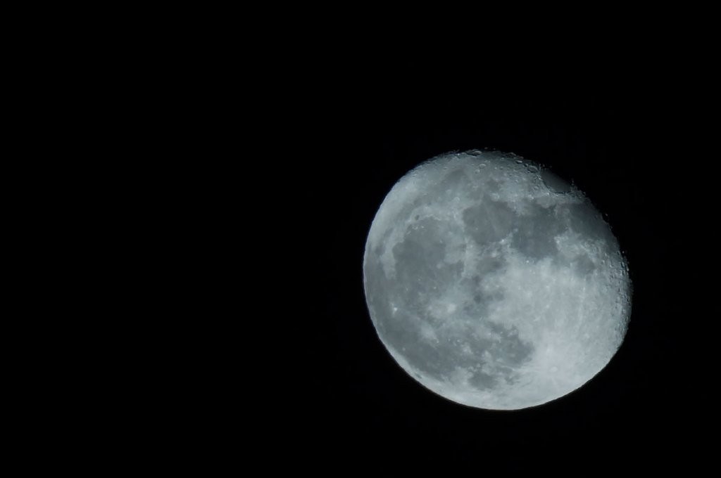 DSC06063sm.jpg
