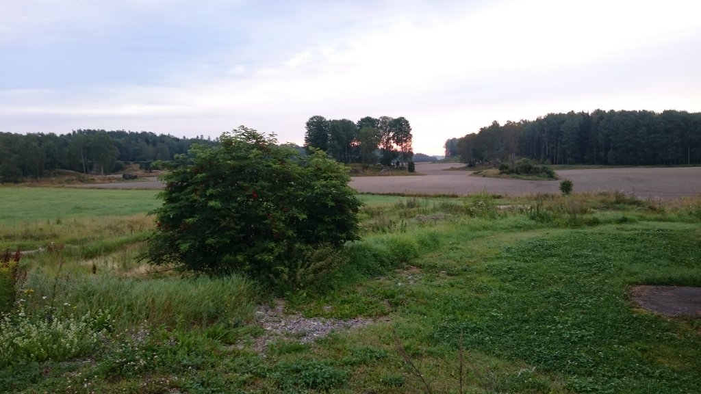 DSC_0276.JPG