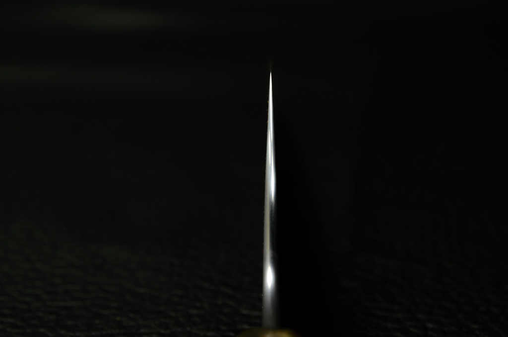 DSC_5293s.jpg