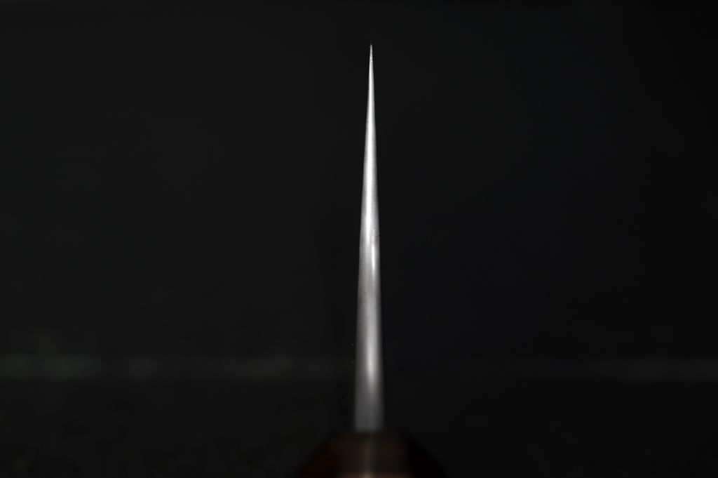 DSC_5571s.jpg
