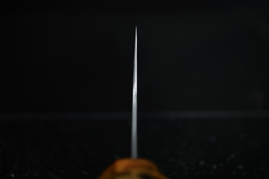 DSC_5690.JPG