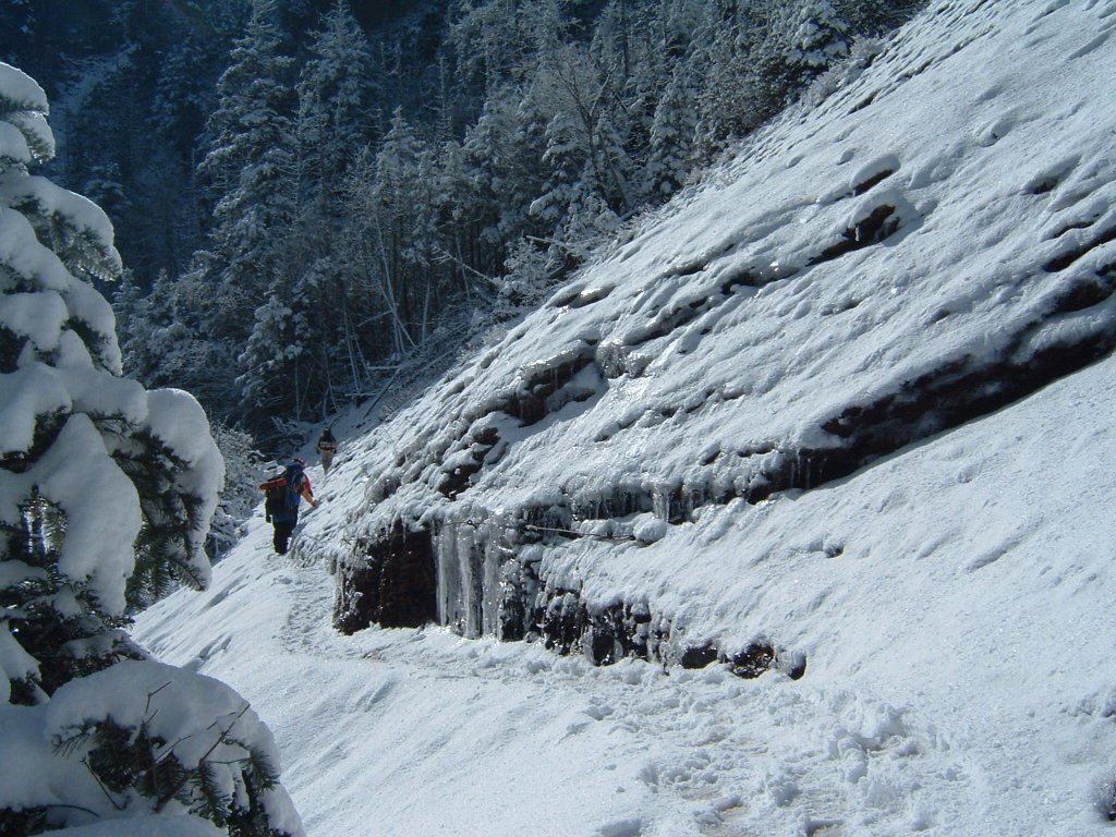 DSCF0091.JPG