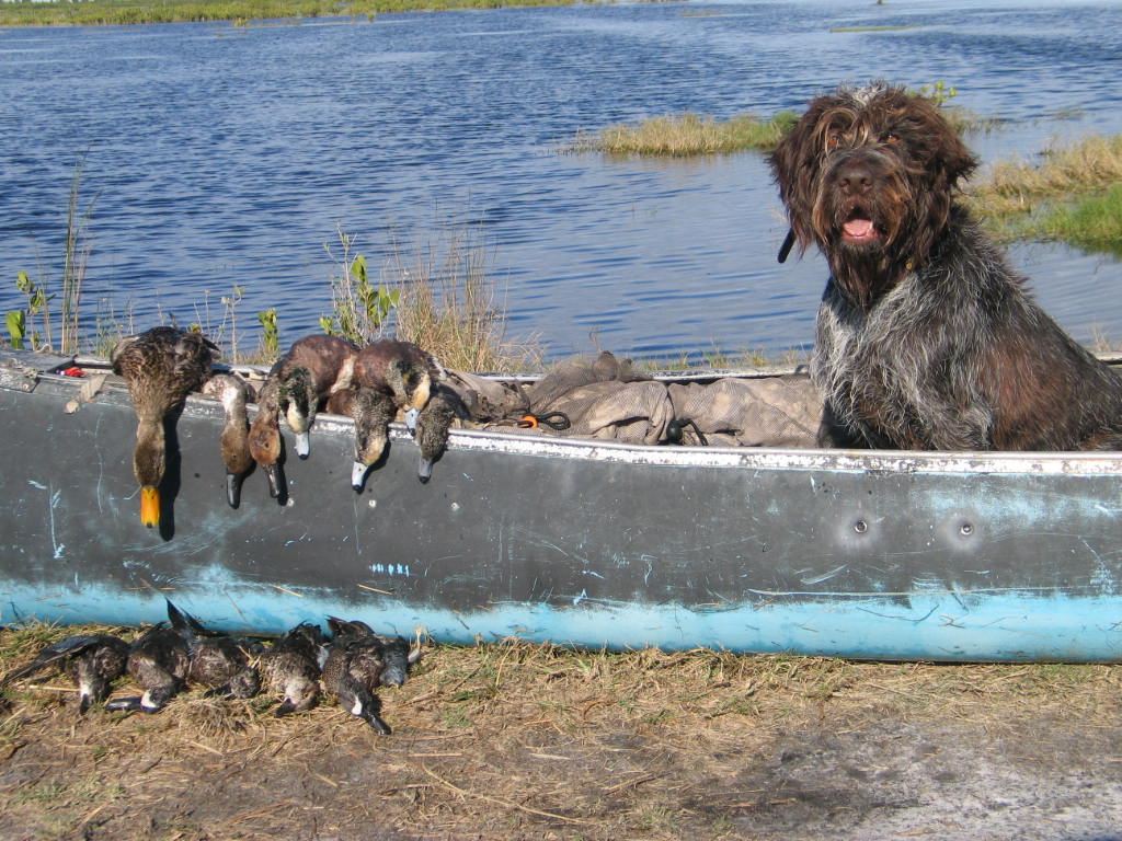 eastgatorIR0004.JPG