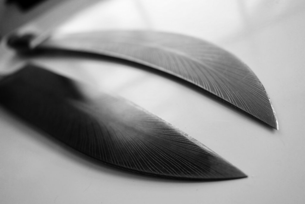 FullSizeRender (29).jpg