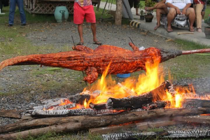 grilled lizzard.jpg