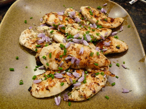 GrilledChicken.jpg