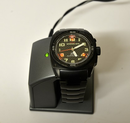hawk5.JPG