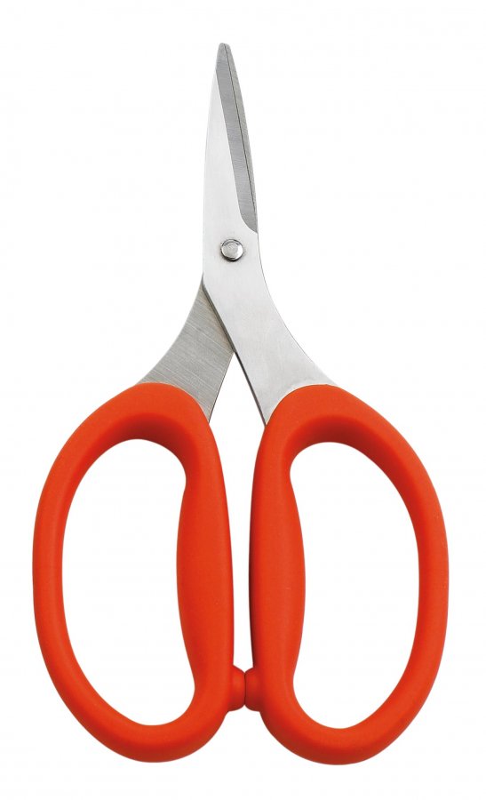 helen chen scissors.jpg