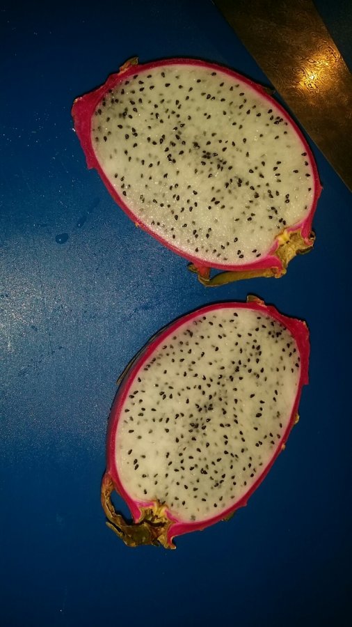 image.jpeg