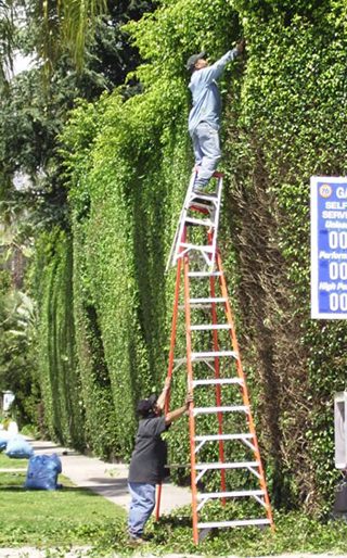 laddersafety.jpg