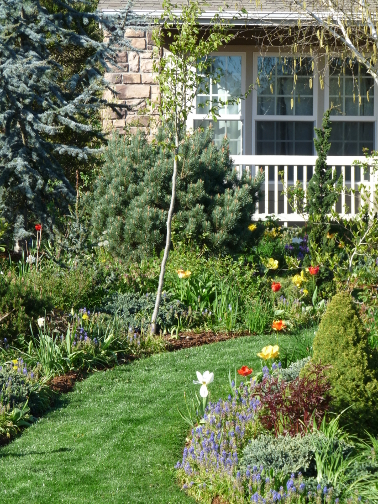 Lawn.jpg