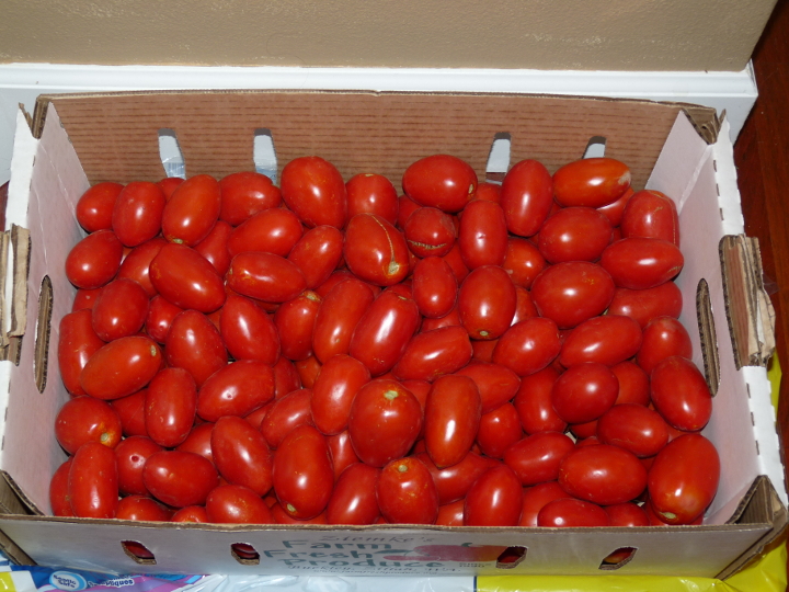maters.jpg