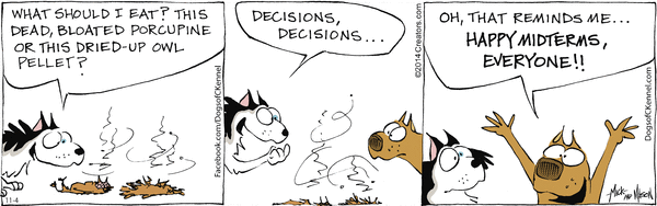 midterms.gif
