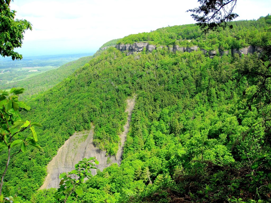 New York State Park, 4.jpg