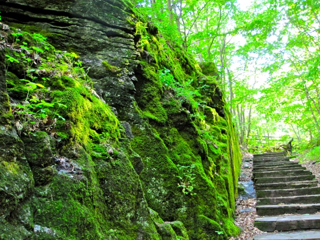 New York State Park 5.jpg