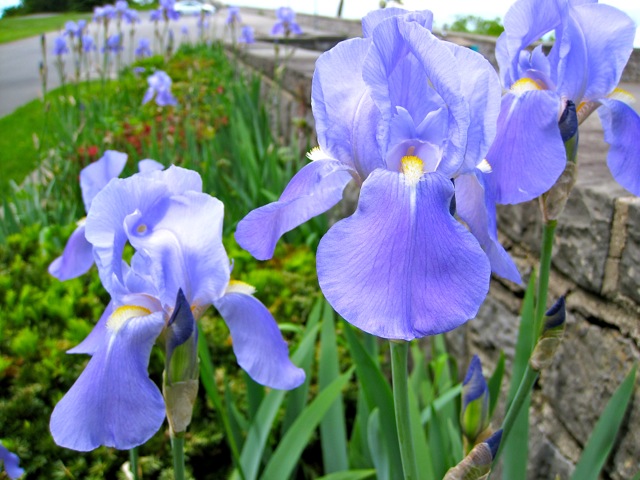 New York State Park 6.jpg