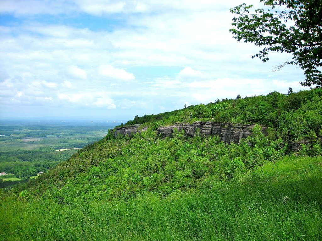 New York State Park .jpg